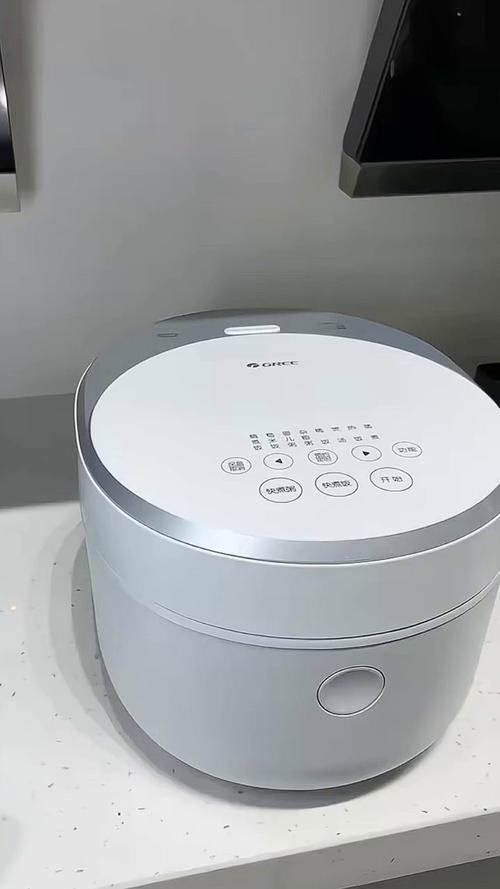 格力电饭煲 颜值高方便好用的电饭煲电饭锅